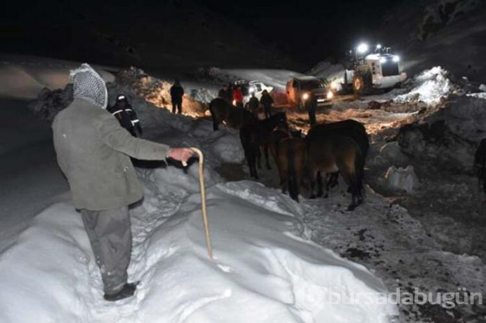 Bir haftadır kayıp olan sürü bulundu!