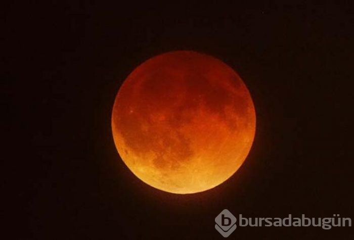 Yaşama elverişli 'öte Dünya' keşfedildi!