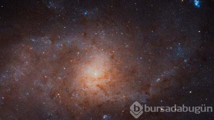 Yaşama elverişli 'öte Dünya' keşfedildi!