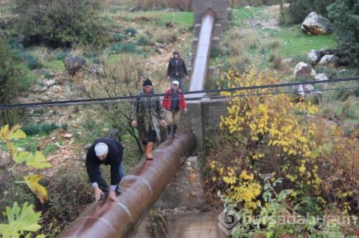 Dere taşınca çaresine kendileri baktılar