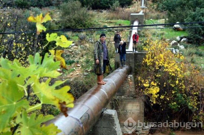 Dere taşınca çaresine kendileri baktılar