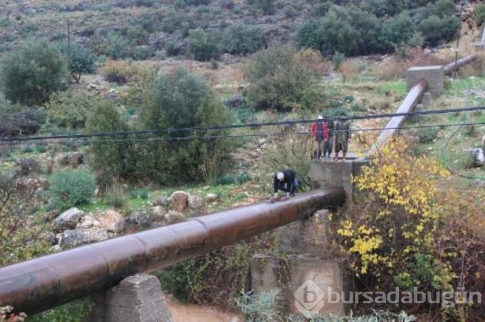 Dere taşınca çaresine kendileri baktılar