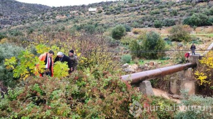 Dere taşınca çaresine kendileri baktılar