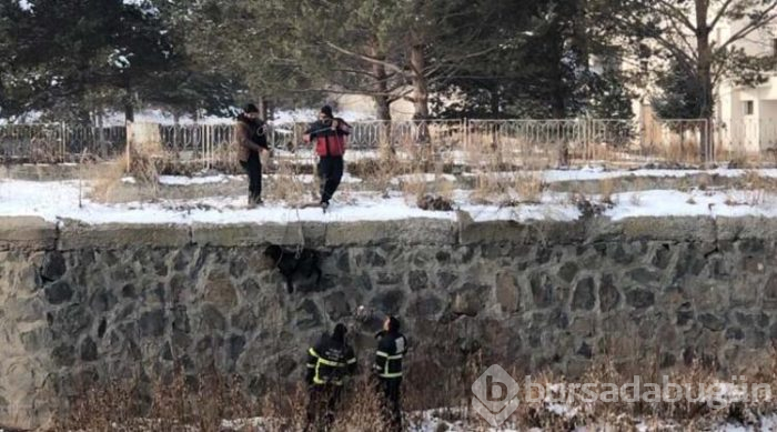 Kars Çayı'nda mahsur kalan köpek kurtarıldı