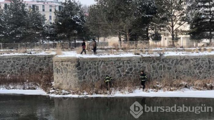 Kars Çayı'nda mahsur kalan köpek kurtarıldı