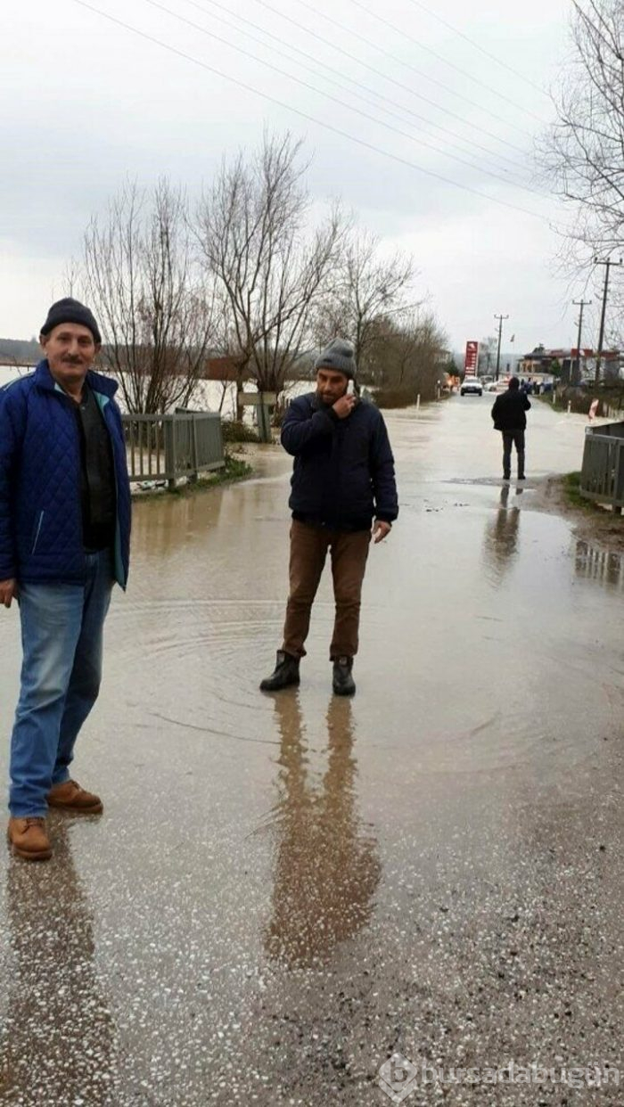 Sakarya'da mahalle su altında kaldı!