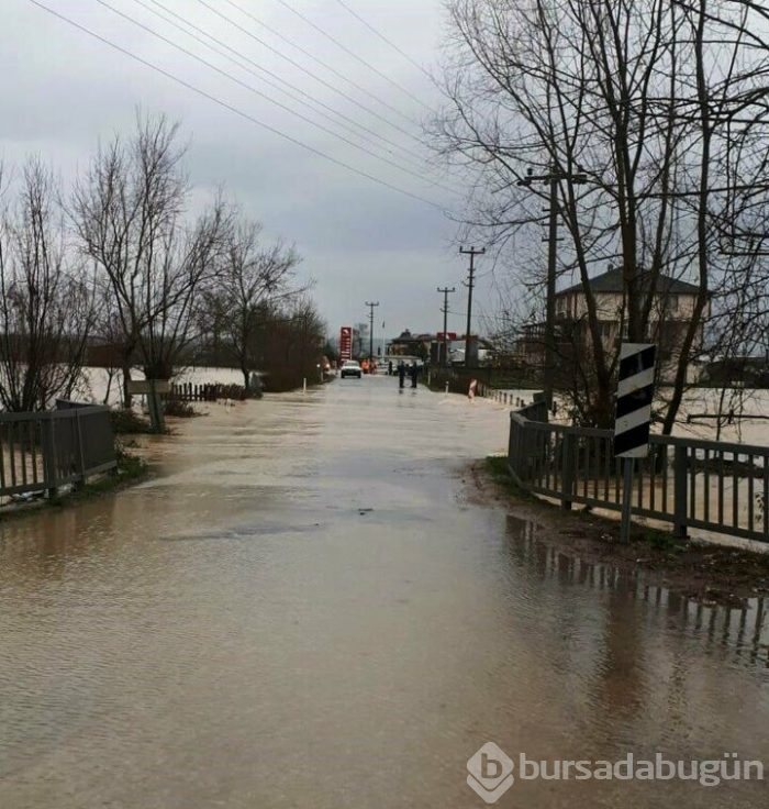 Sakarya'da mahalle su altında kaldı!