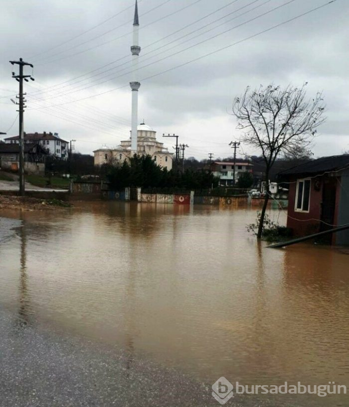 Sakarya'da mahalle su altında kaldı!