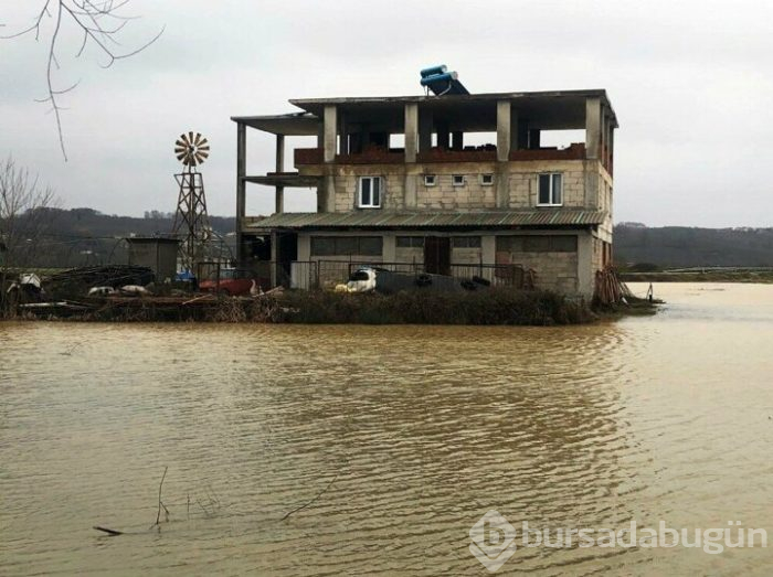 Sakarya'da mahalle su altında kaldı!