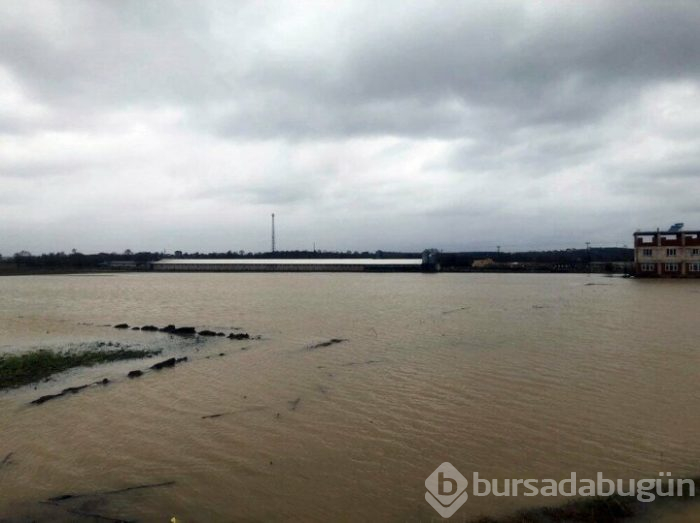 Sakarya'da mahalle su altında kaldı!