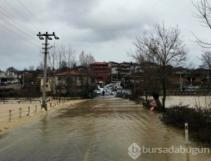 Sakarya'da mahalle su altında kaldı!