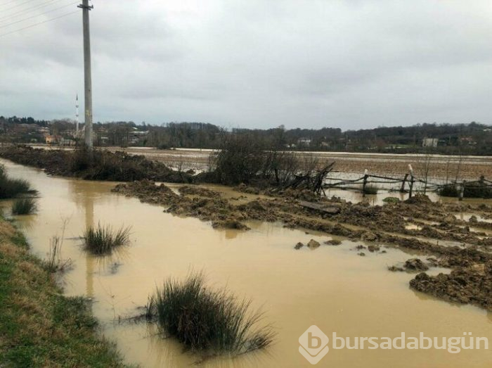 Sakarya'da mahalle su altında kaldı!