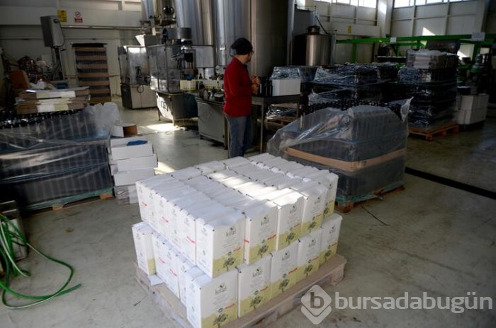 İlk defa kendi markasıyla yurt dışına ihraç edildi