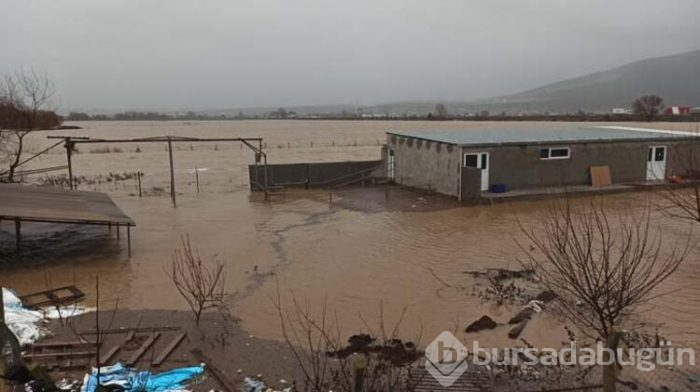 Bursa'nın Karacabey ilçesini bu hale onlar getirdi! 