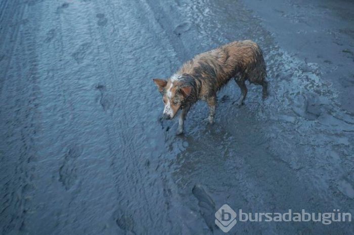52 kez deprem oldu, insanlar tahliye ediliyor!