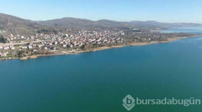 "Hayalet ağ" katliamı
