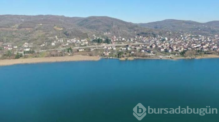 "Hayalet ağ" katliamı