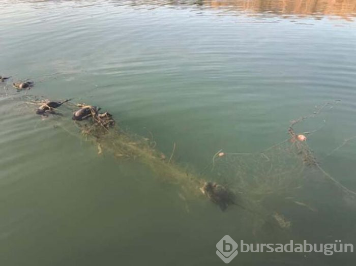 Kötü koku her şeyi ortaya çıkardı!