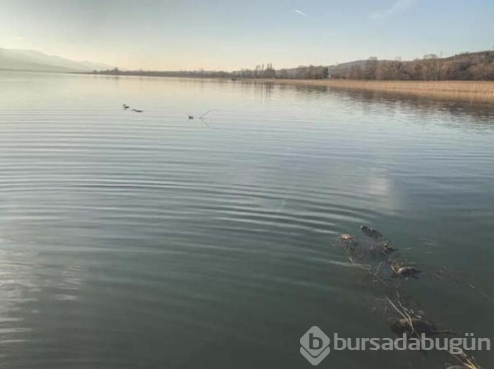 Kötü koku her şeyi ortaya çıkardı!