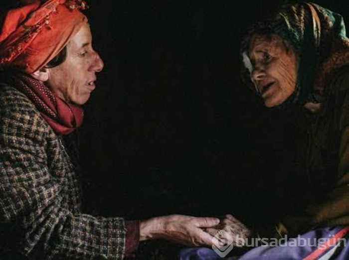İki dalda Oscar adayı Bal Ülkesi hakkında bilmeniz gerekenler 