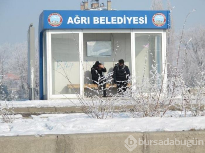 Her şey dondu!