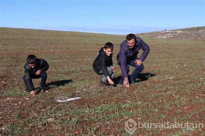 Tarlasında bulduğu gök taşını bakın ne yaptı!