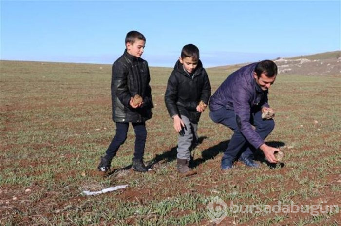 Tarlasında bulduğu gök taşını bakın ne yaptı!