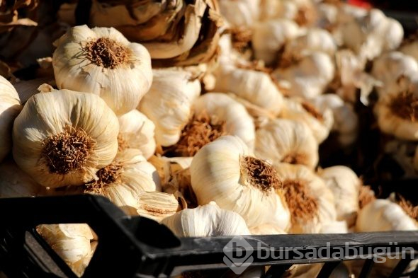 Halde 35, pazarda 80 lira!