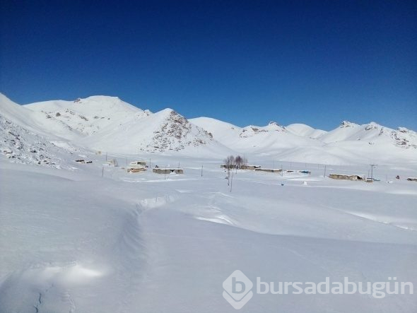 3 bin rakımlı yayla beyazlar içinde kaldı