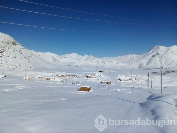 3 bin rakımlı yayla beyazlar içinde kaldı