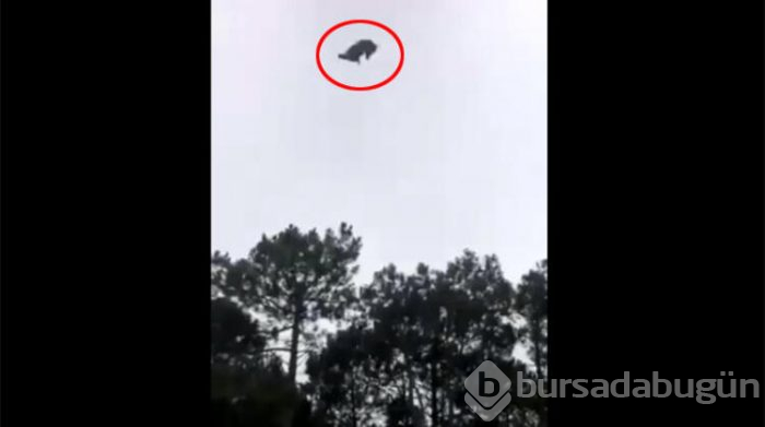 Helikopterden canlı canlı attılar!