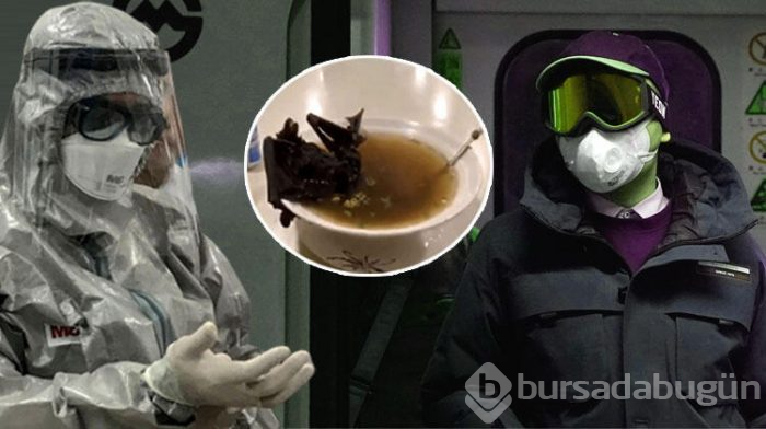 'Corona virüsü' nedir, nasıl bulaşır, tedavisi var mı?