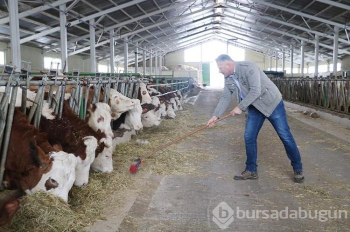 Memlekete kesin dönüş yaptı!