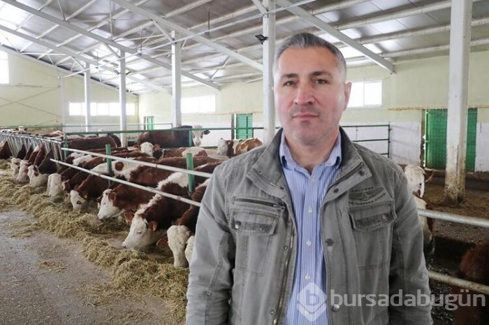 Memlekete kesin dönüş yaptı!