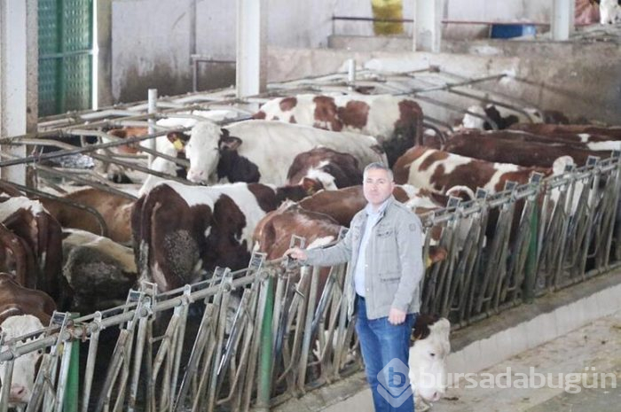 Memlekete kesin dönüş yaptı!