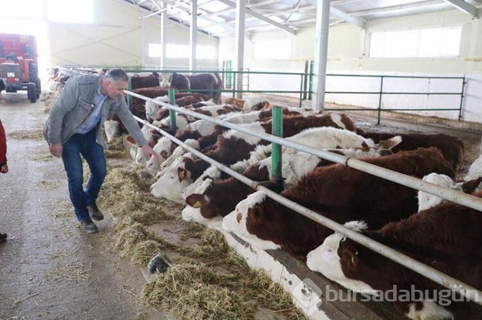 Memlekete kesin dönüş yaptı!