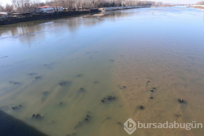 Meriç Nehri'nde tarih ortaya çıktı!