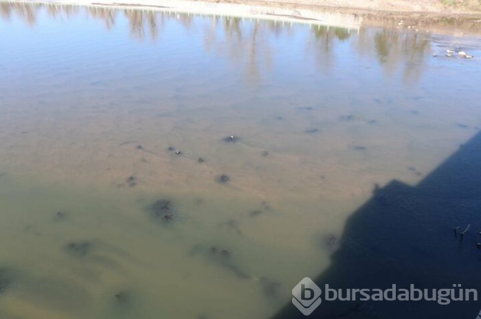 Meriç Nehri'nde tarih ortaya çıktı!