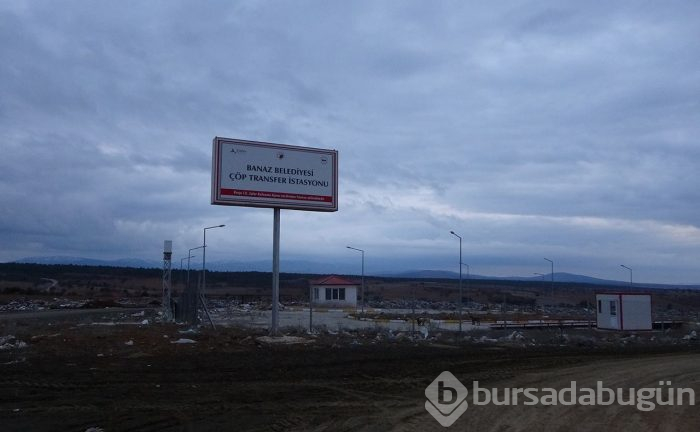 Çöplükte 21 köpek ölü bulundu!