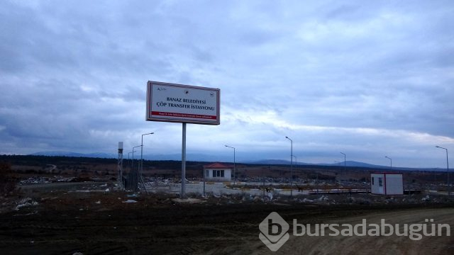 Çöplükte 21 köpek ölü bulundu!