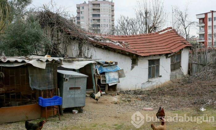 'Eğri evler'de yıkılma korkusuyla yaşam!