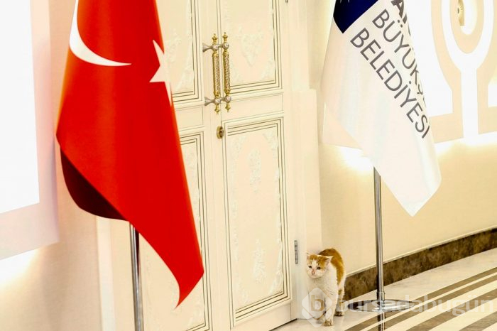 Deprem mağduru Toros'un keyfi yerinde