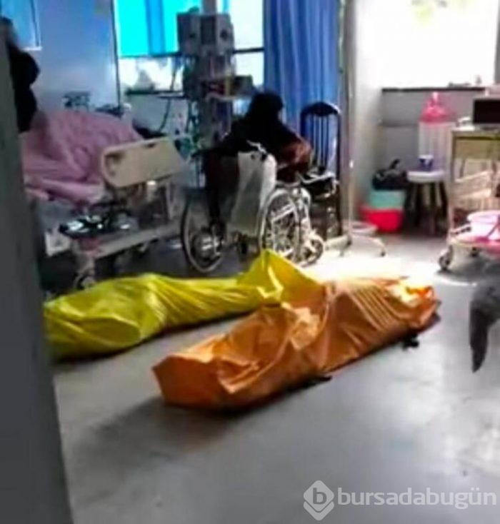 Günde 100 tane! 'Cesetleri yakmaya yetişemiyoruz'