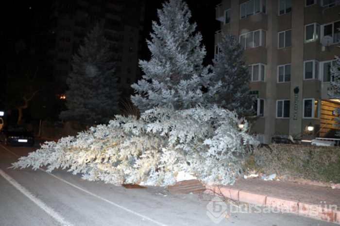 Rüzgardan çatılar uçtu, duvarlar yıkıldı!
