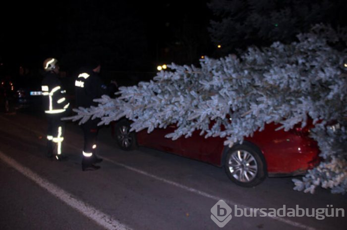 Rüzgardan çatılar uçtu, duvarlar yıkıldı!