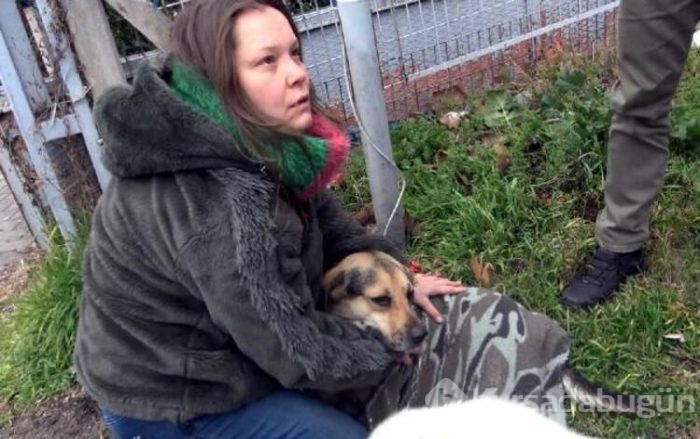 Yaralı köpeğe yardım için çırpındı!