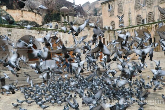 13 sancak korumaya alındı