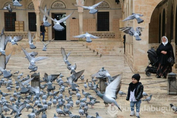 13 sancak korumaya alındı