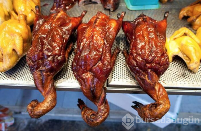 Koronavirüs pangolinden yayılmış olabilir!
