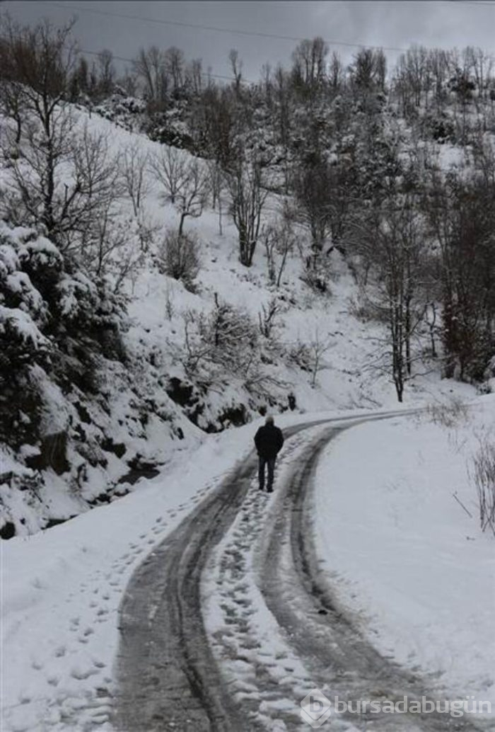 Hangi illerde okullar tatil edildi!